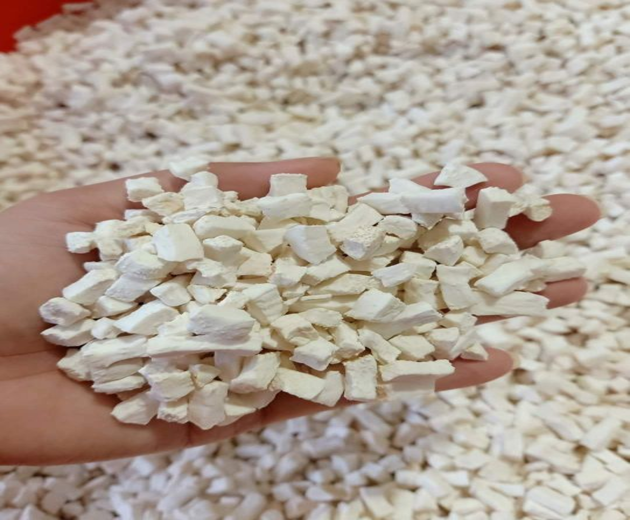 Cùi Bưởi