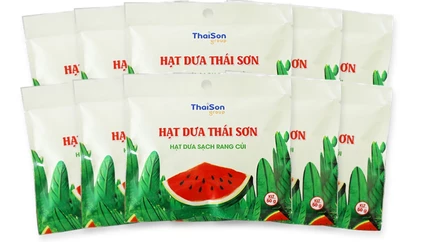 Hạt dưa Thái Sơn 50g (bịch 20 gói)