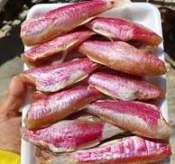 Cá phèn hồng 300g